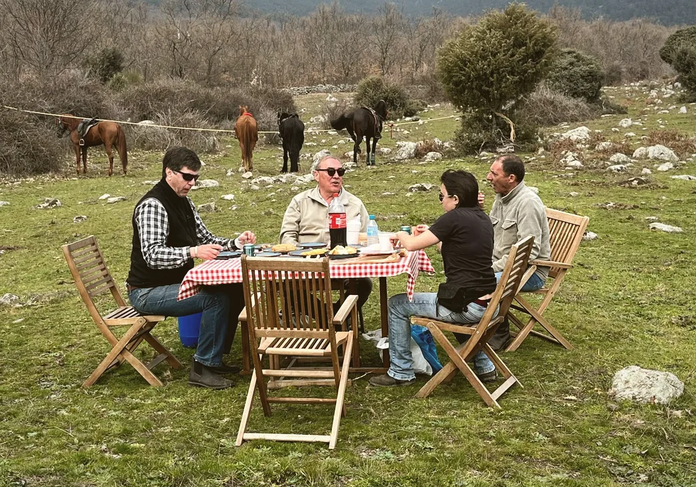 A table laid in the field beside the horses