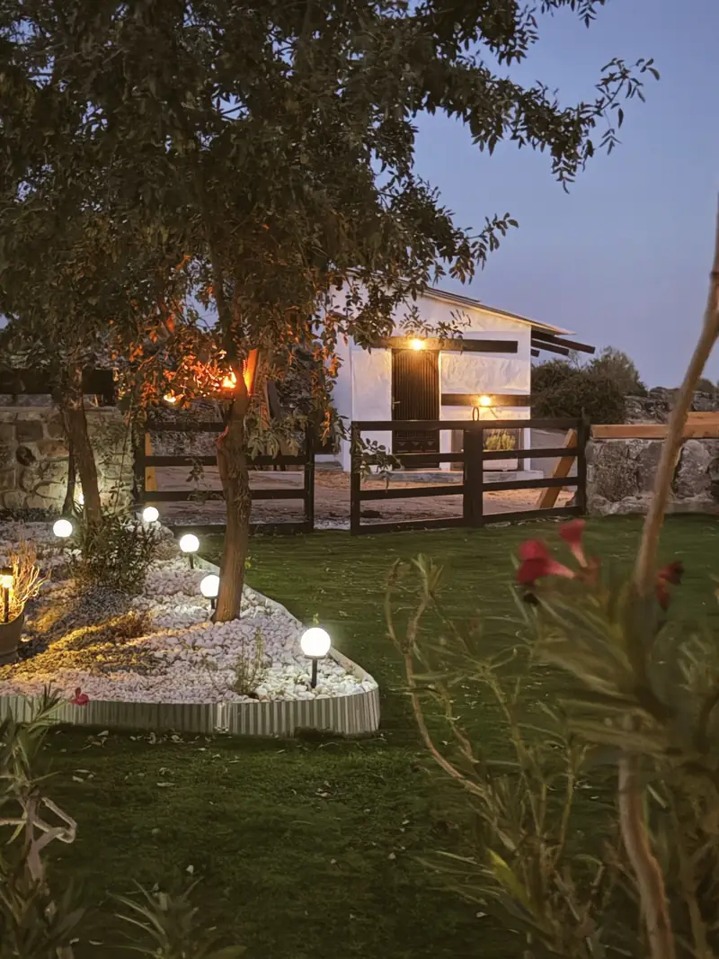 The estate garden lit at dusk