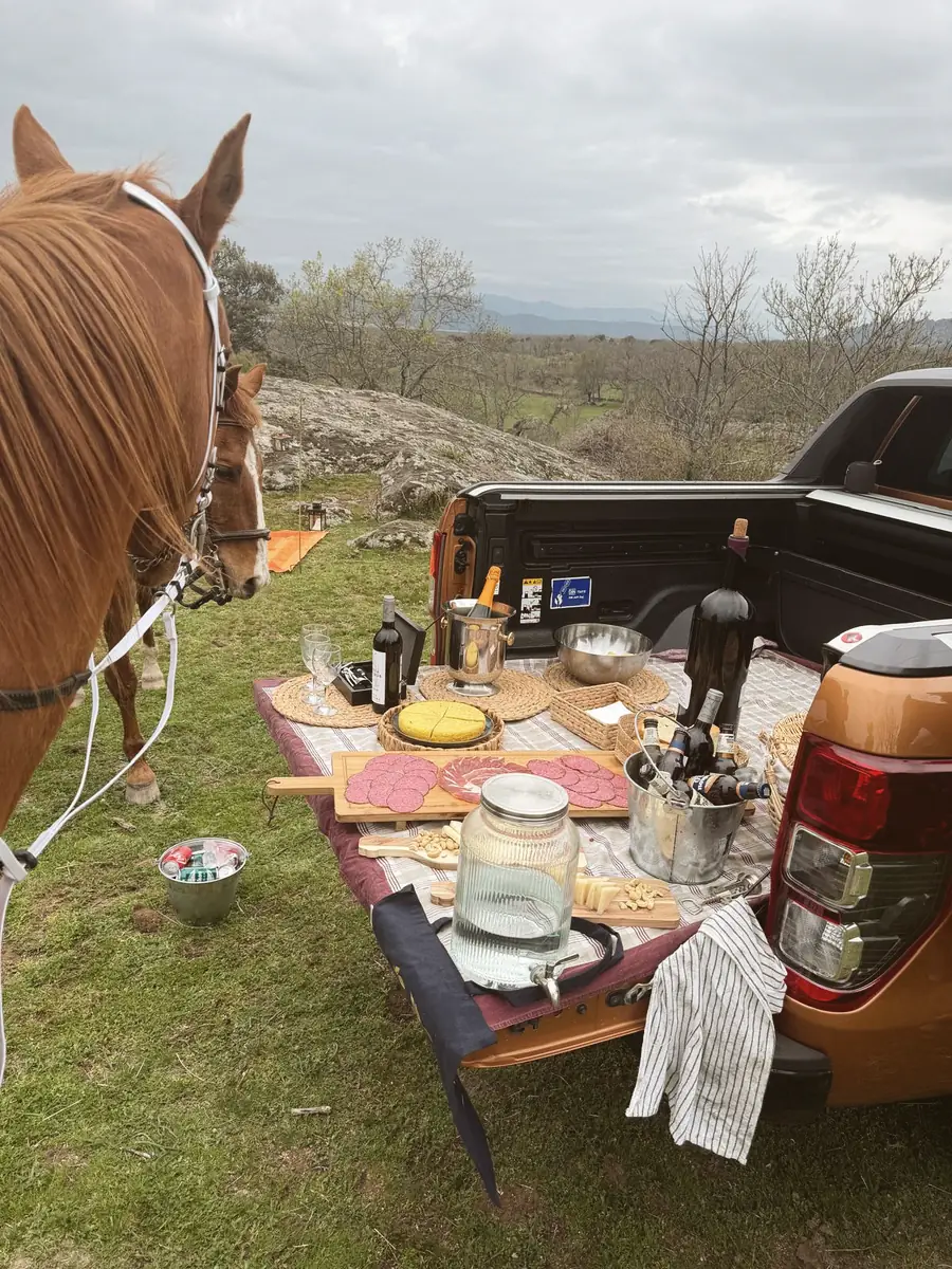 A field picnic served on the trail, horse alongside