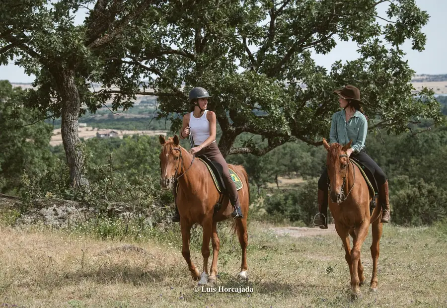 Riders on a mountain track