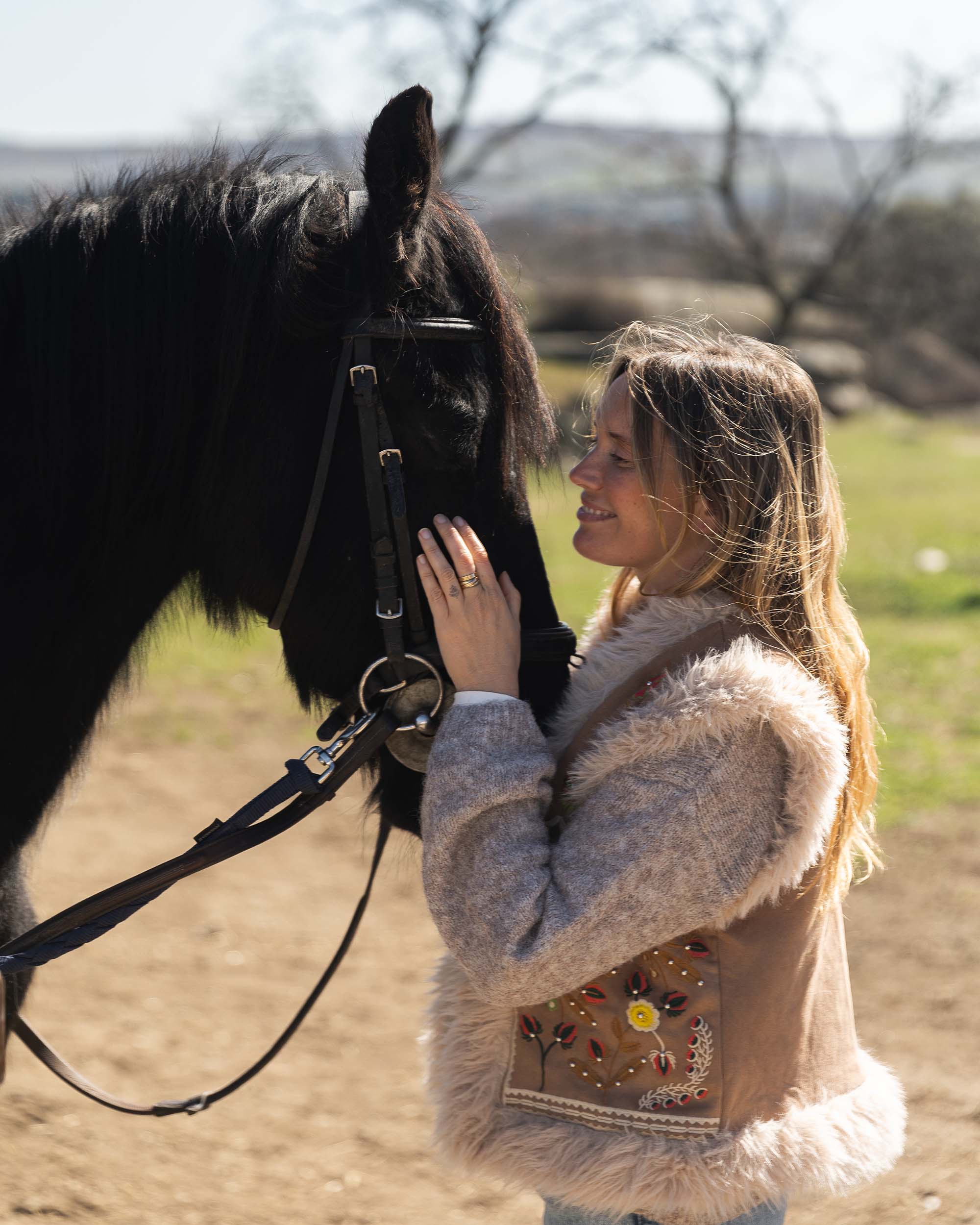 caballos-evento-celebracion-madrid