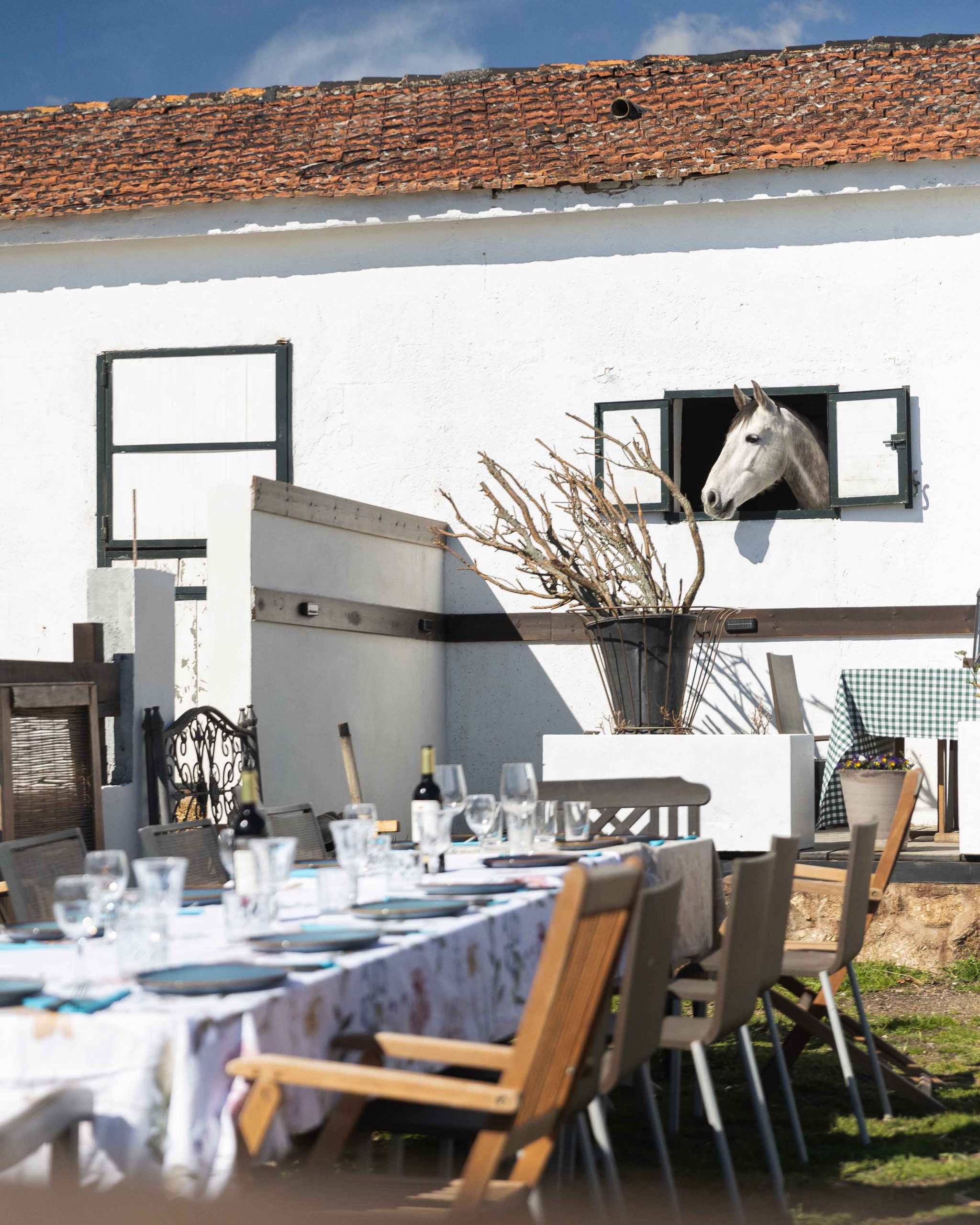 eventos-celebraciones-paseos-rutas-caballos
