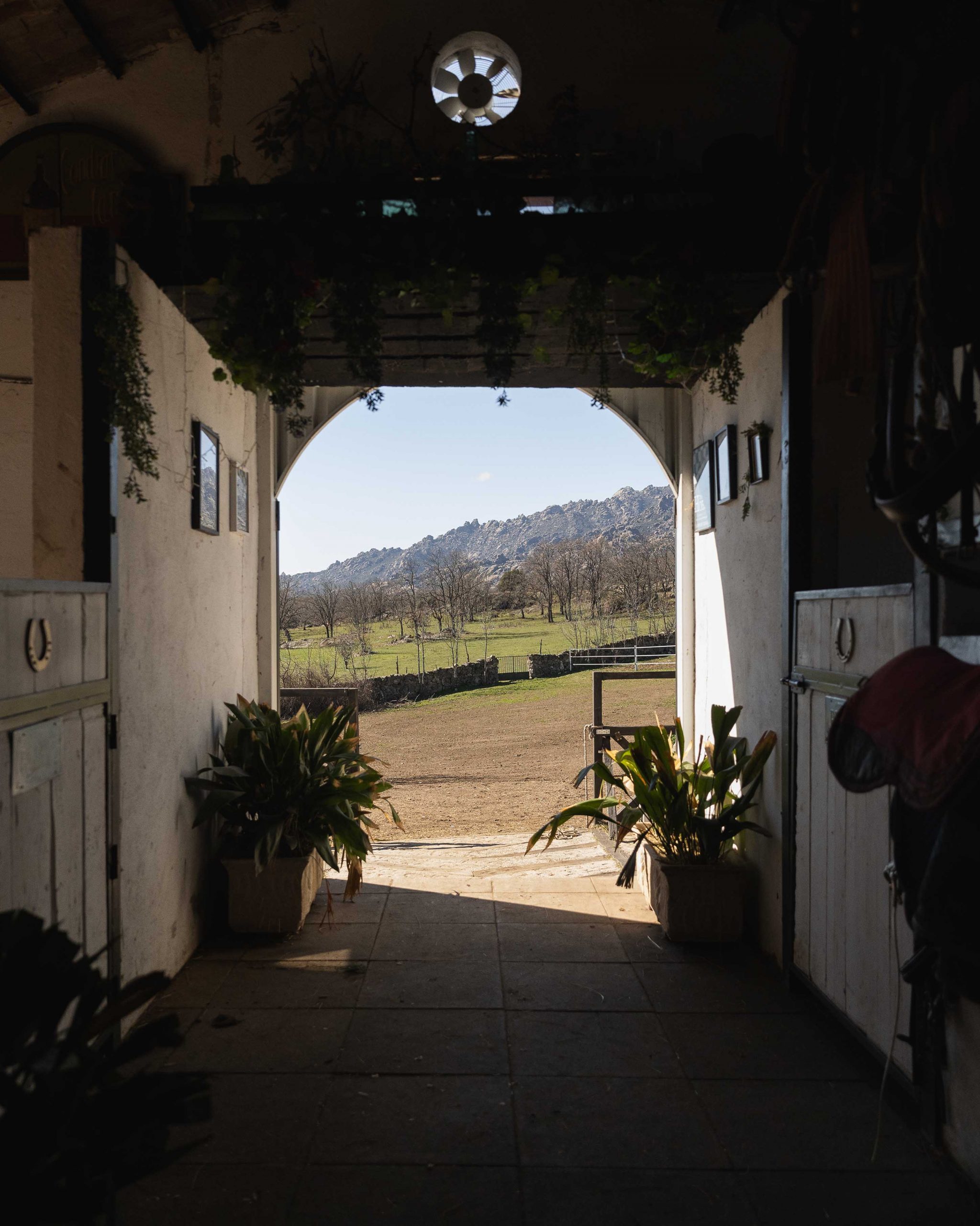 finca-las-cumbres-soto-real-caballos