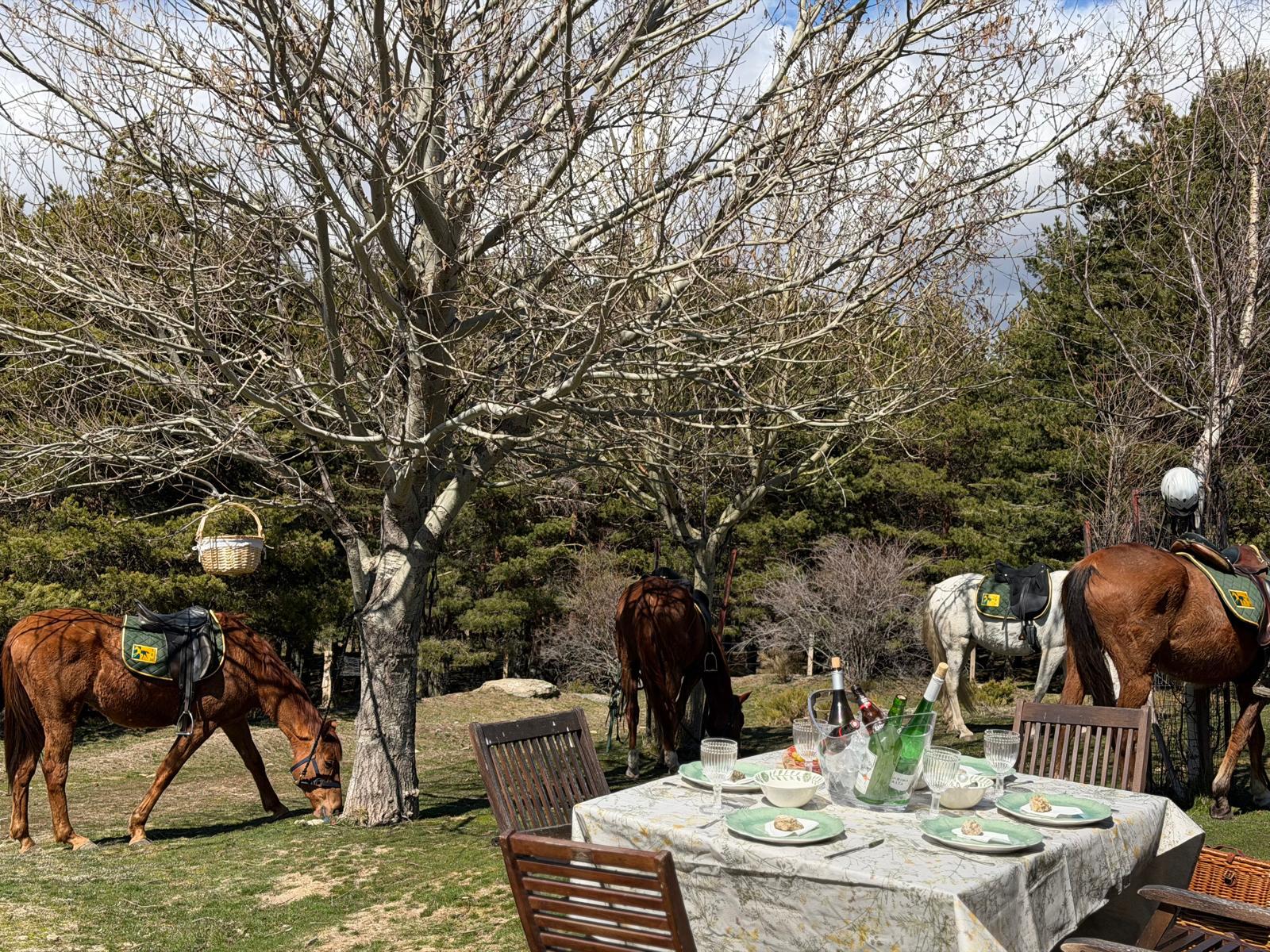 Madrid Horse Tours